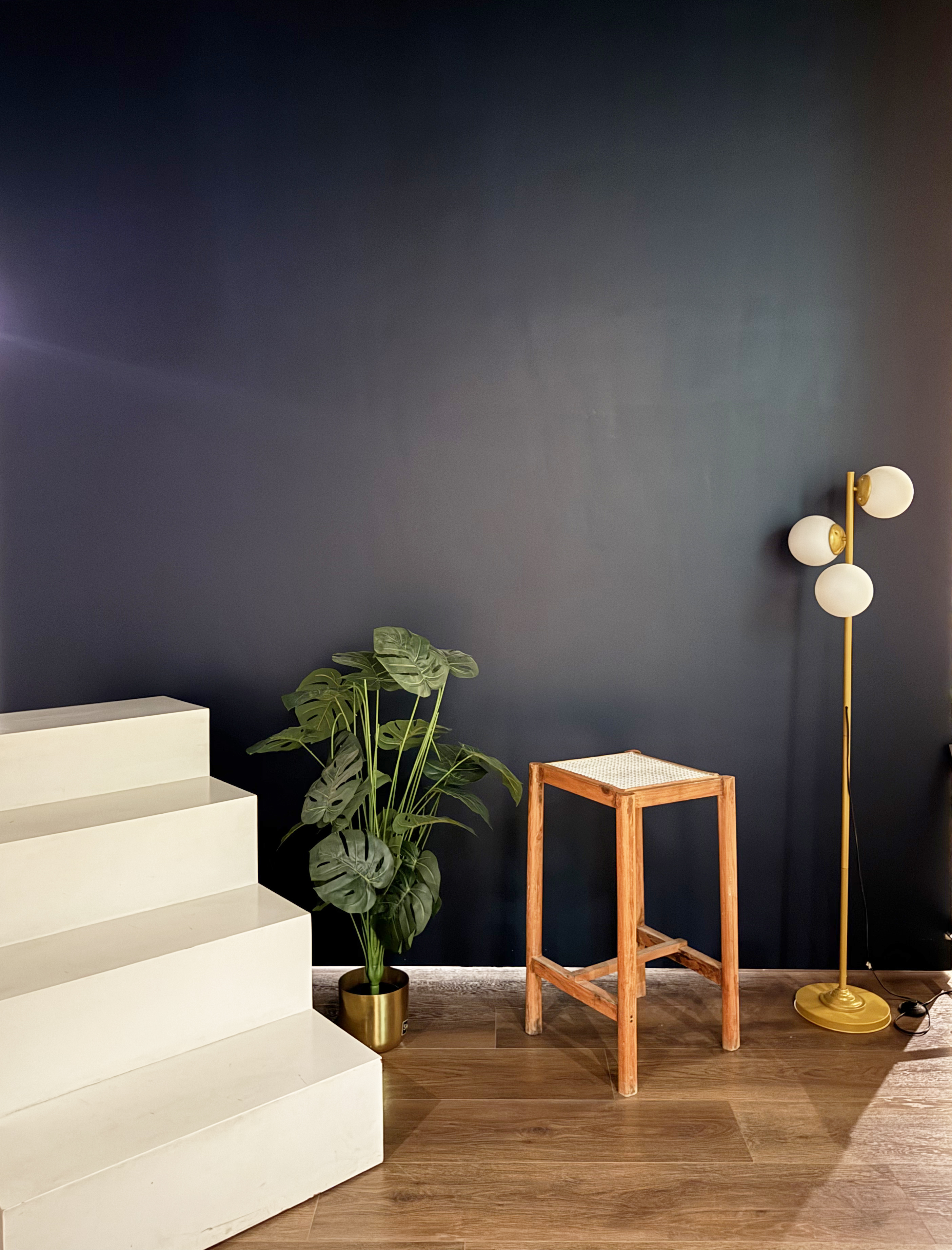 Dalhousie Dream Movable Backdrop